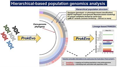 Heuristic and Hierarchical-Based Population Mining of Salmonella enterica Lineage I Pan-Genomes as a Platform to Enhance Food Safety